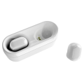 Wireless Earbuds True Wireless Earbuds